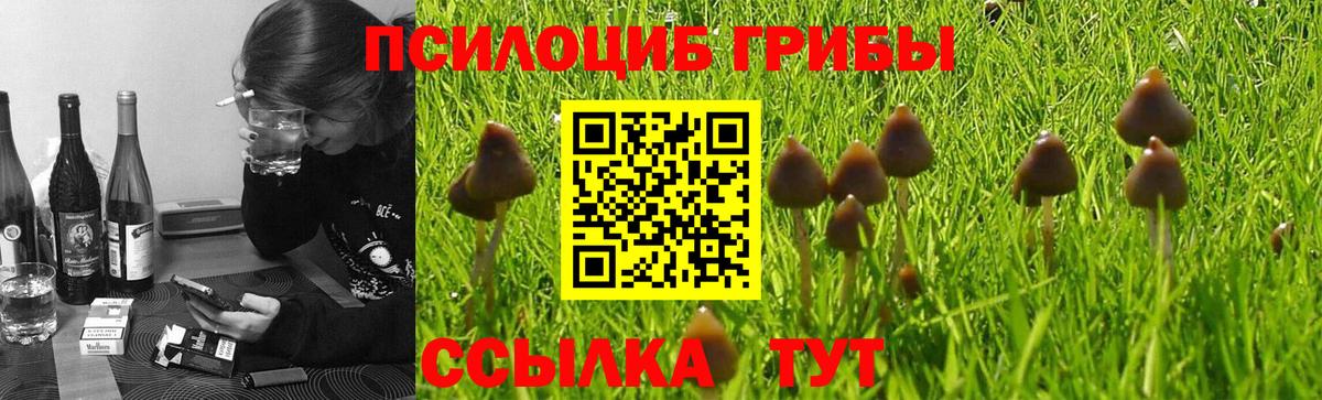 Псилоцибиновые грибы ЛСД Новый Уренгой